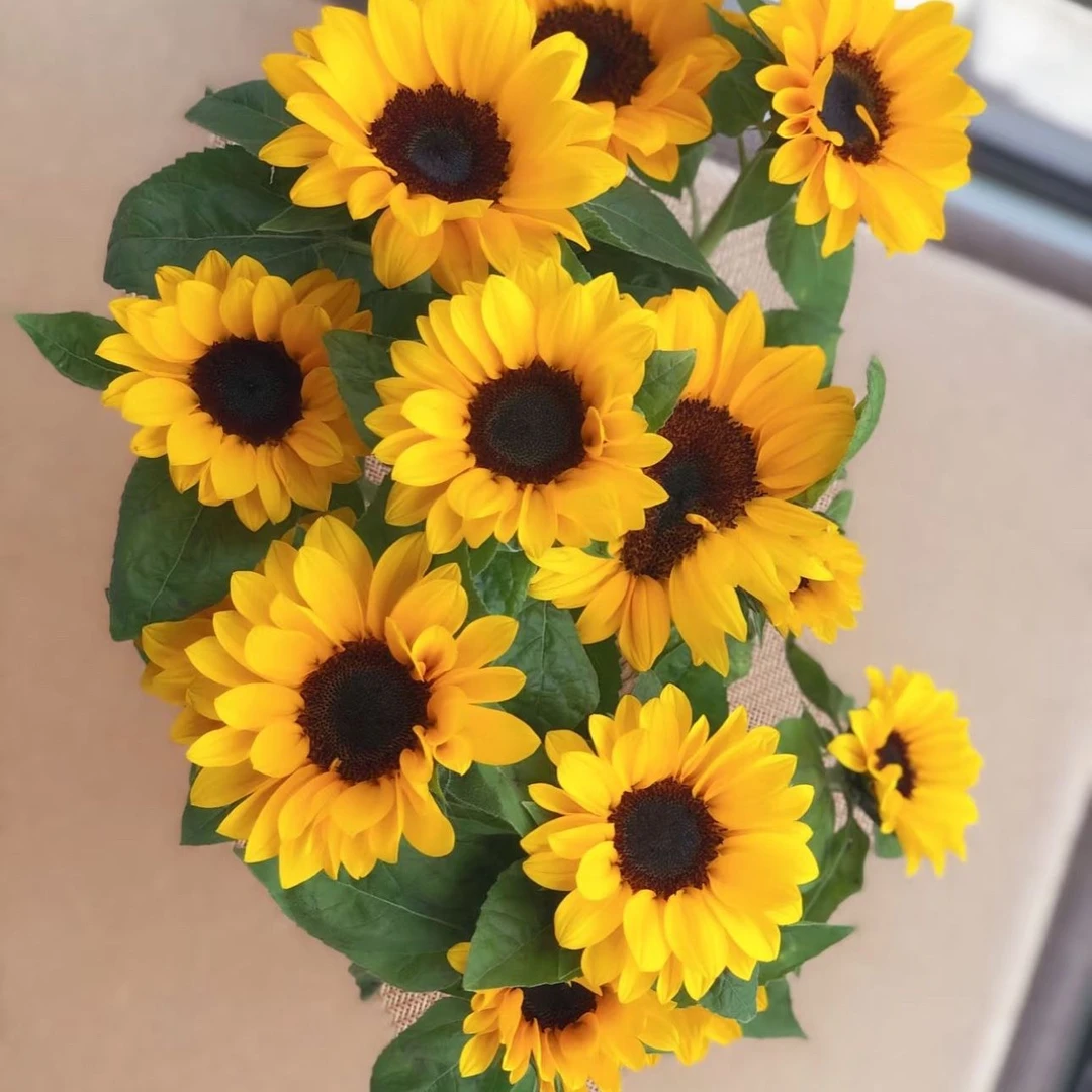 【5枝向日葵】5枝向日葵瓶插花 适合家用 插花瓶