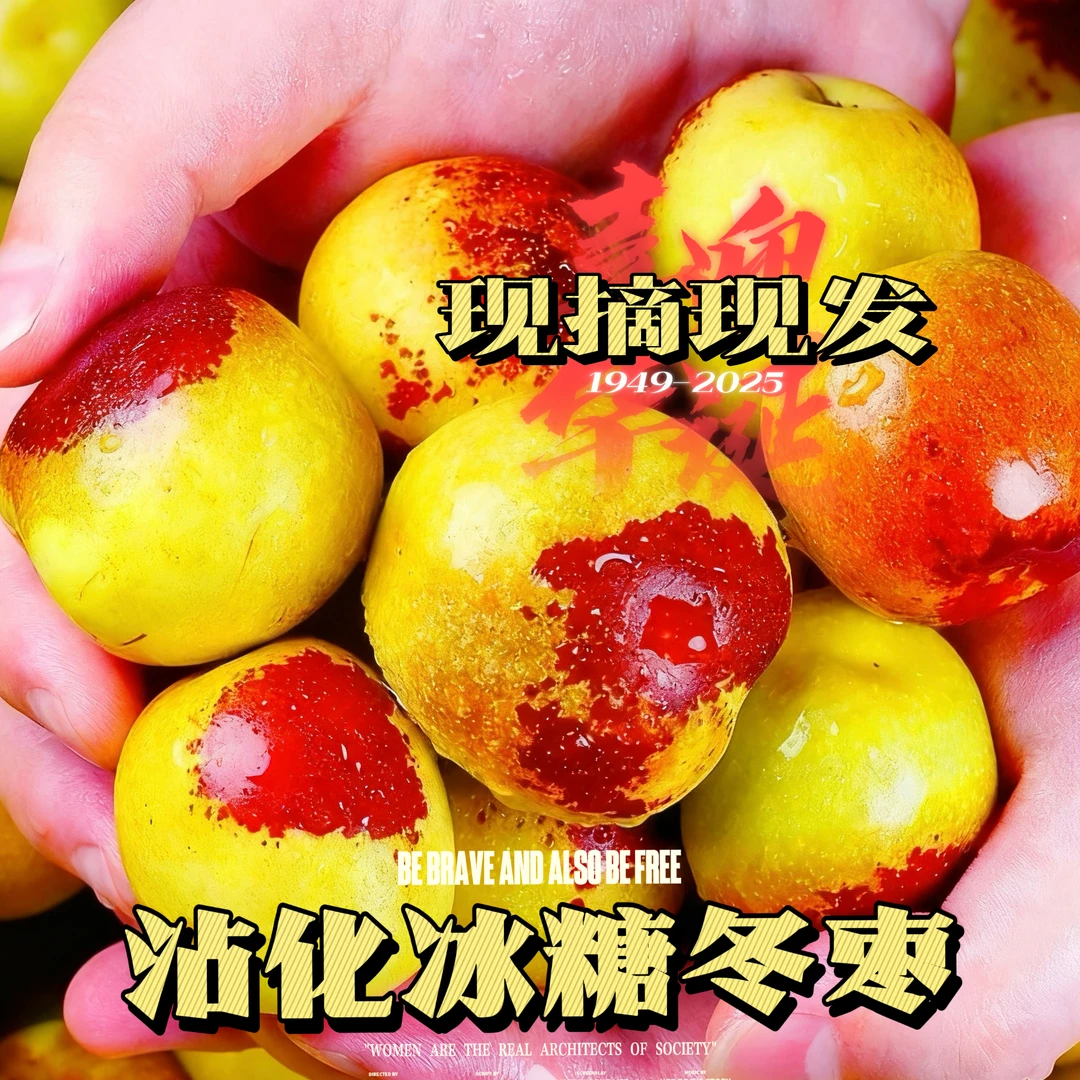 山东特产沾化冰糖冬枣
