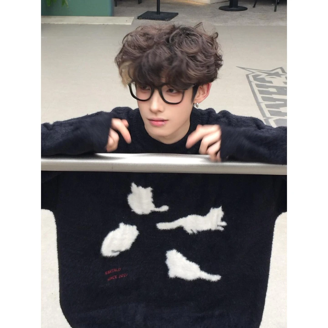 猫咪毛衣男秋冬美式覆古宽松慵懒风cleanfit圆领针织衫外套