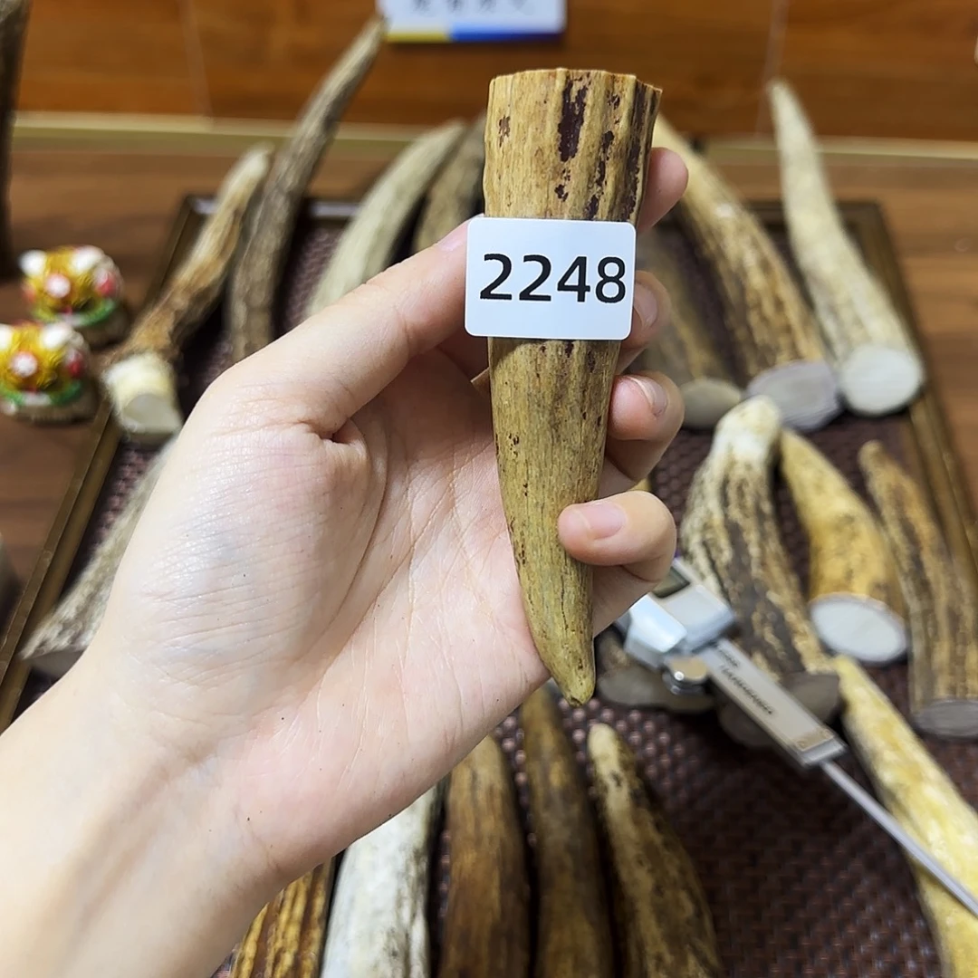 鹿骨手串/手链2248角尖