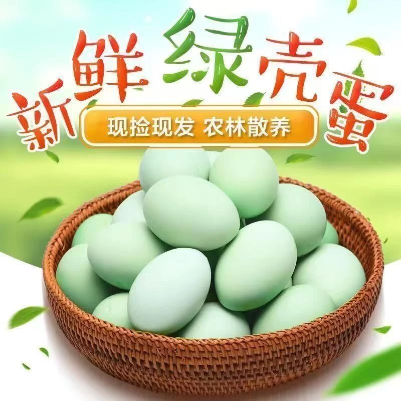 50枚长寿之乡农家散养土乌鸡蛋绿壳鸡蛋40-45g