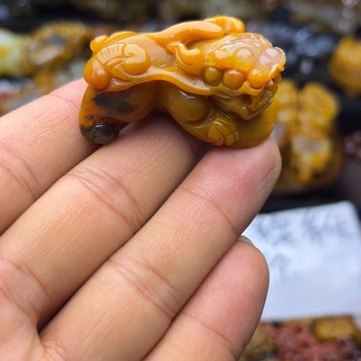石英质玉（黄龙玉）未镶嵌颈饰