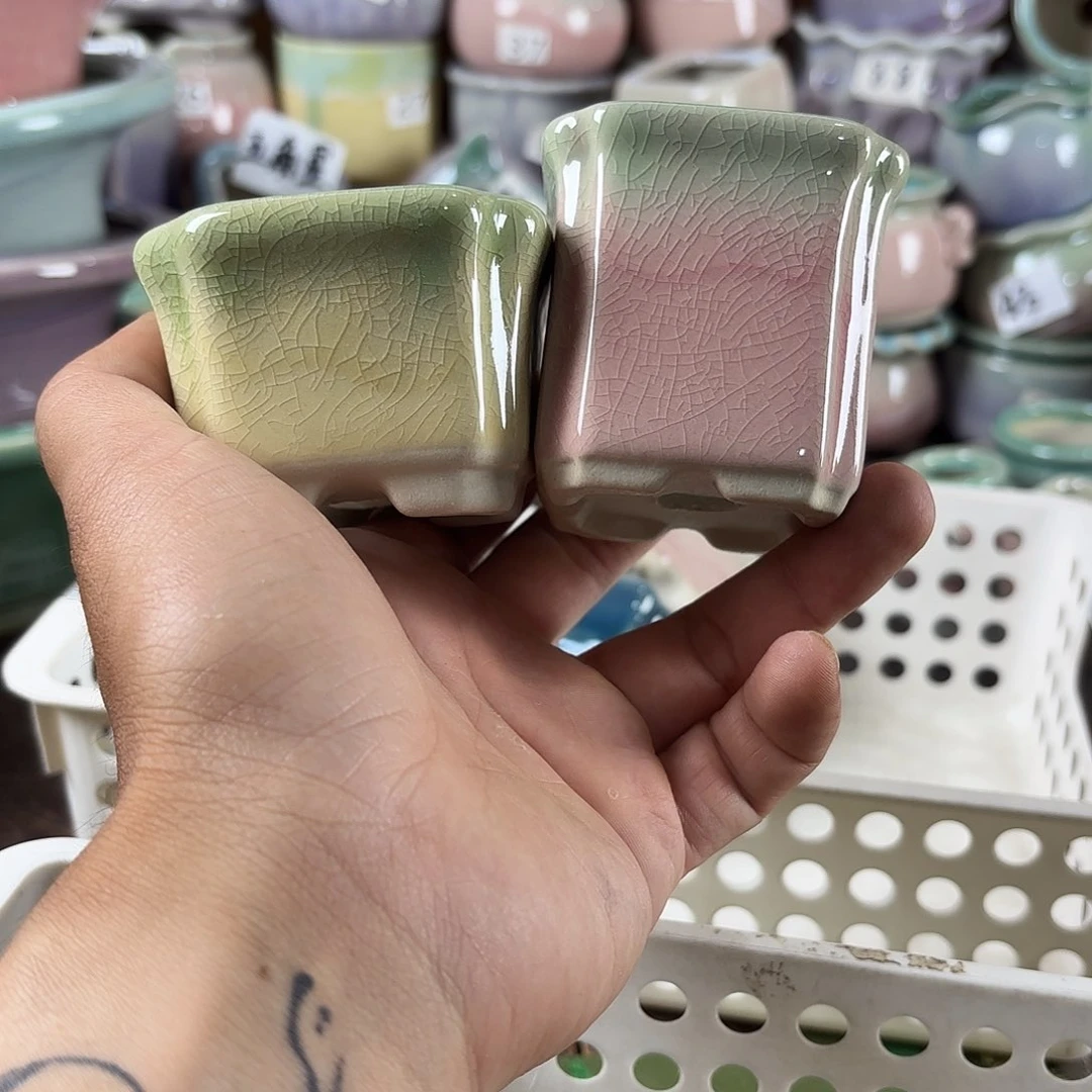 量货/口5高深浅搭配发6