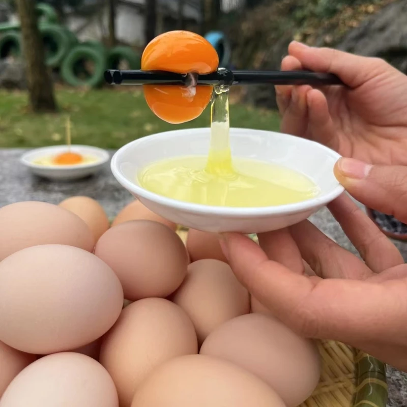 农家土鸡蛋新鲜散养鸡蛋农村粮食蛋