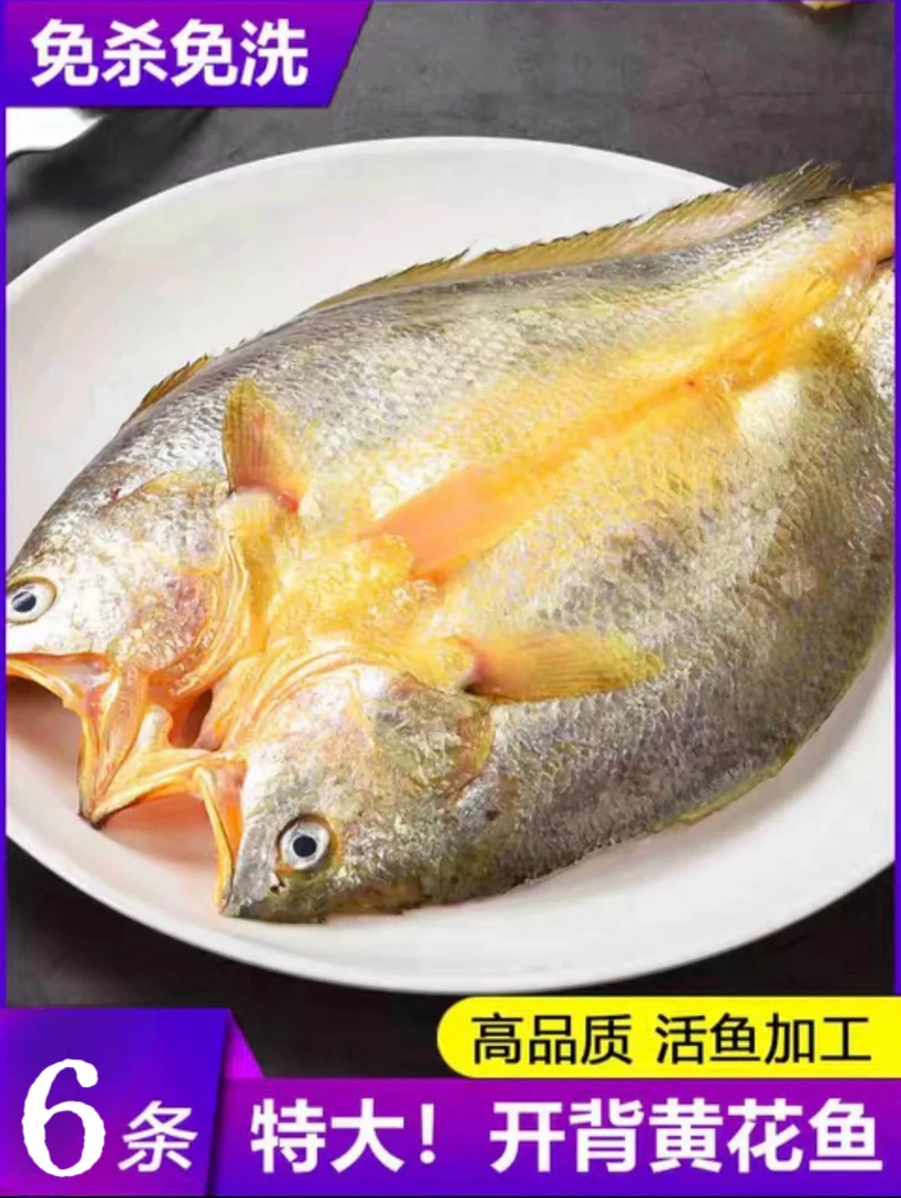 福建宁德黄鱼鳖咸香大黄鱼三去黄花鱼新鲜冷冻
