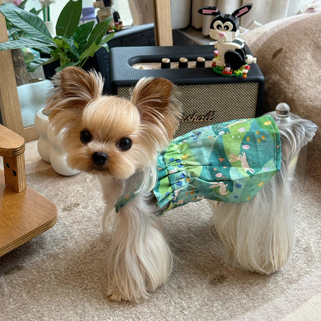 小甜粥宠物服狗狗小清新吊带连衣裙夏季薄款透气约克夏衣服