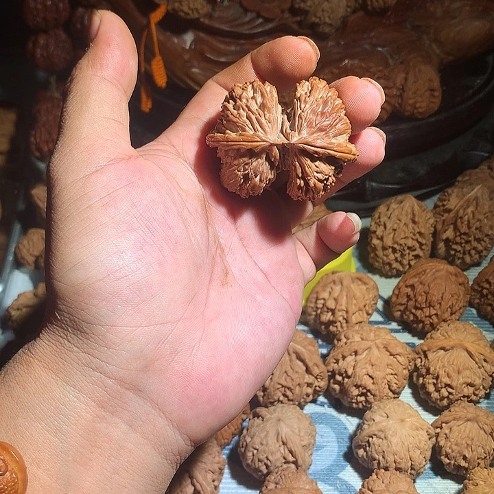 文玩核桃把件白狮子连体