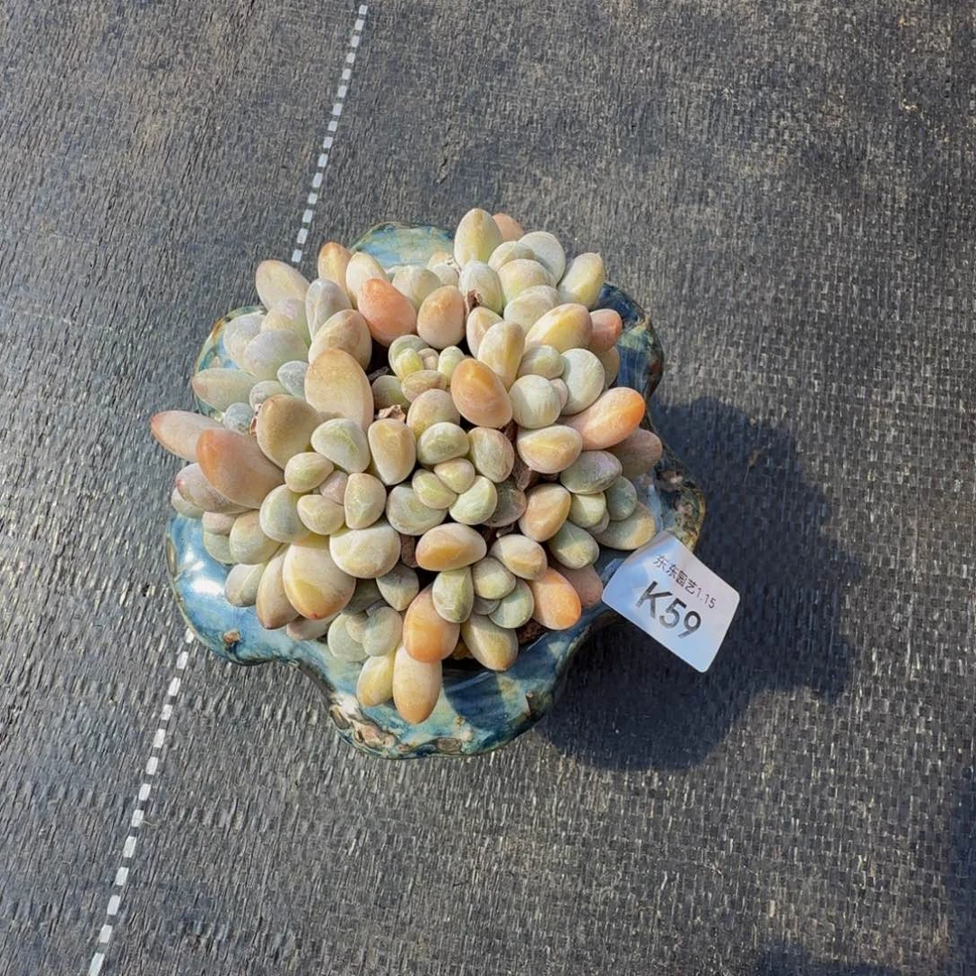 k k k k k k k k k k 59