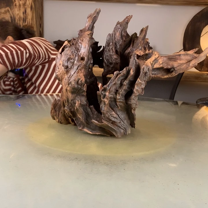 四****天然的云南紫柚木会黄水