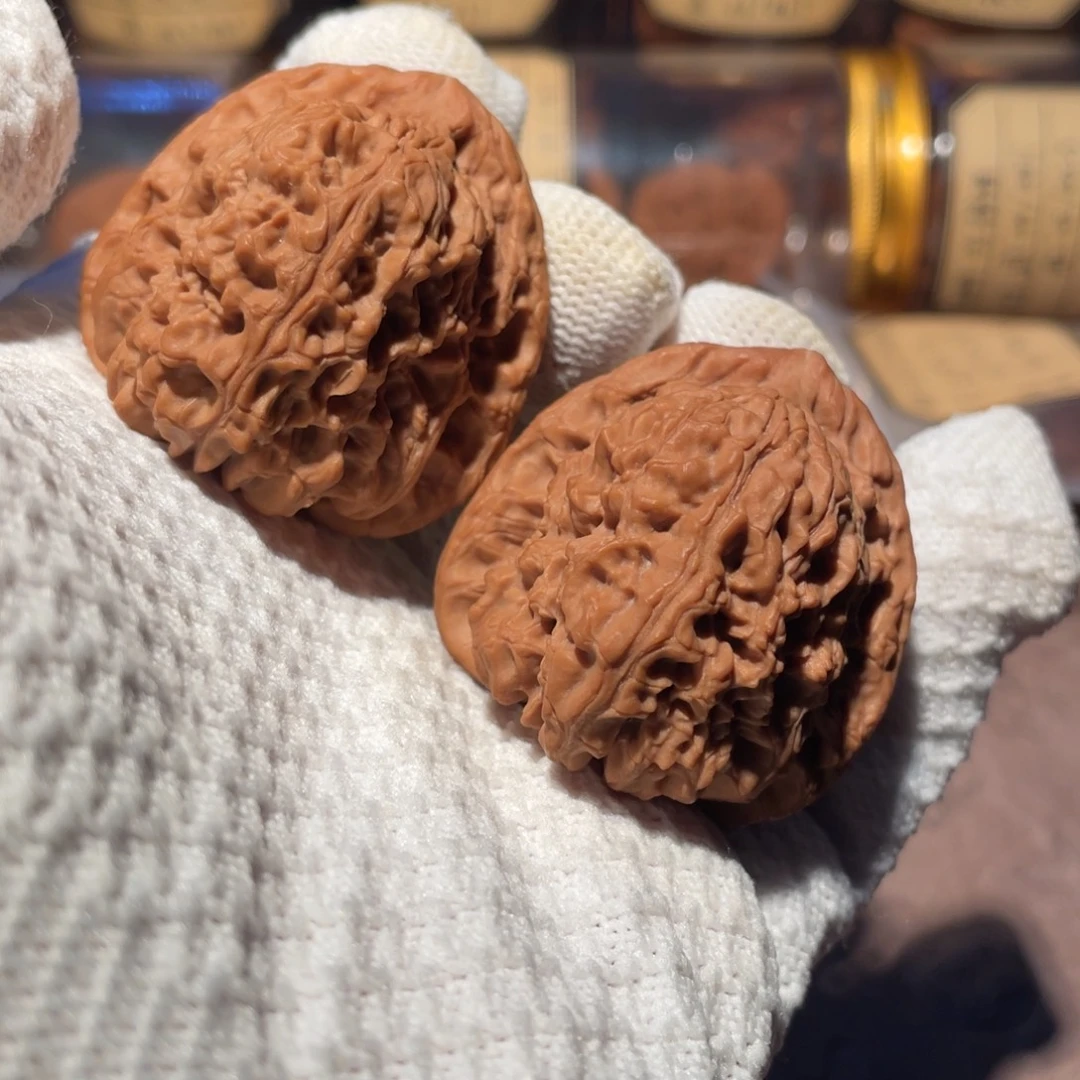 核桃42三角疆jjjjjj