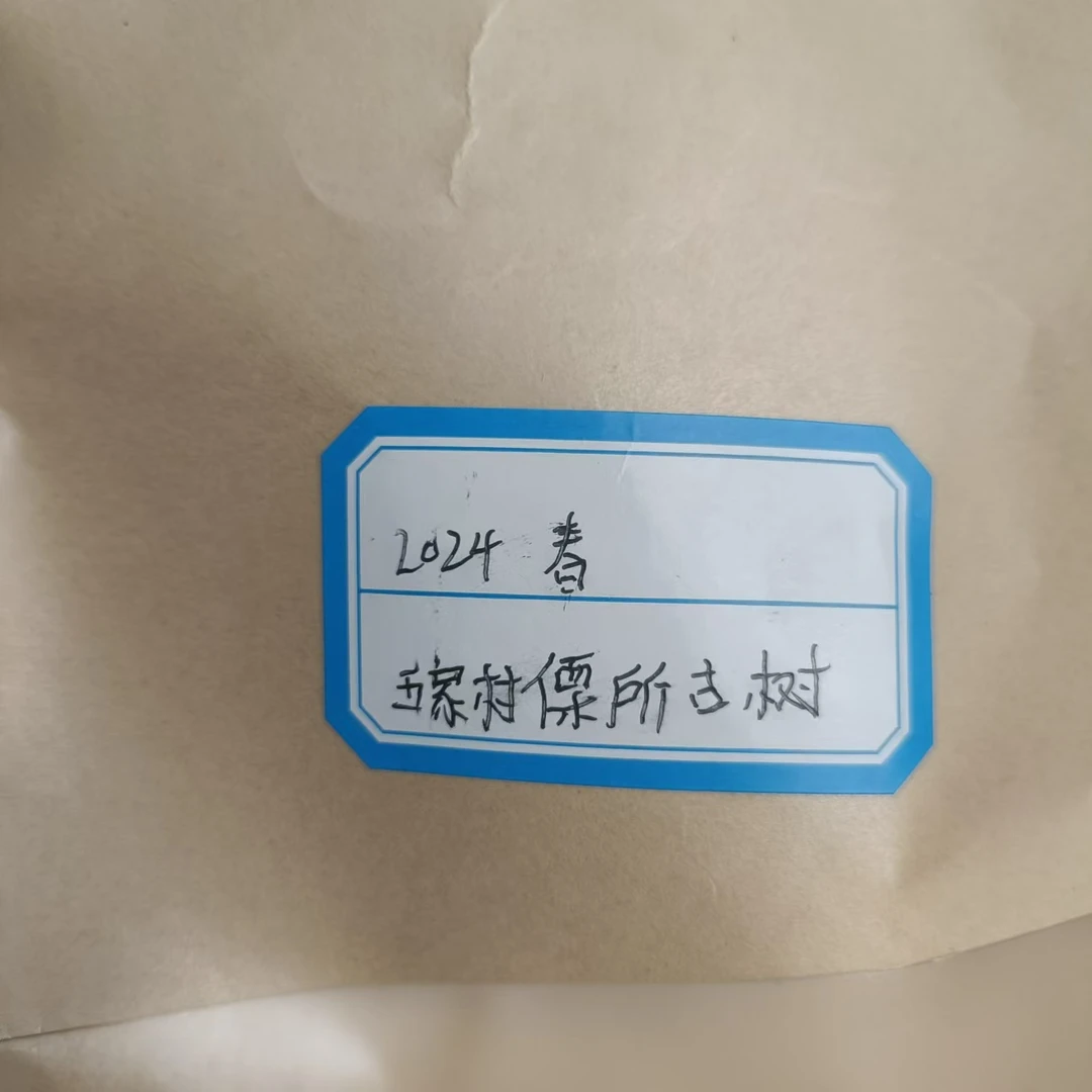 【413号】2024年 傈所古树春 200克 生茶