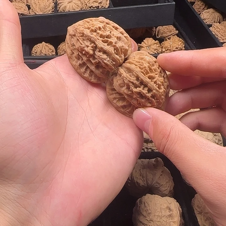 㤀***亼龙脊菩提吊坠啊啊啊啊呃啊啊啊盘龙虎头17