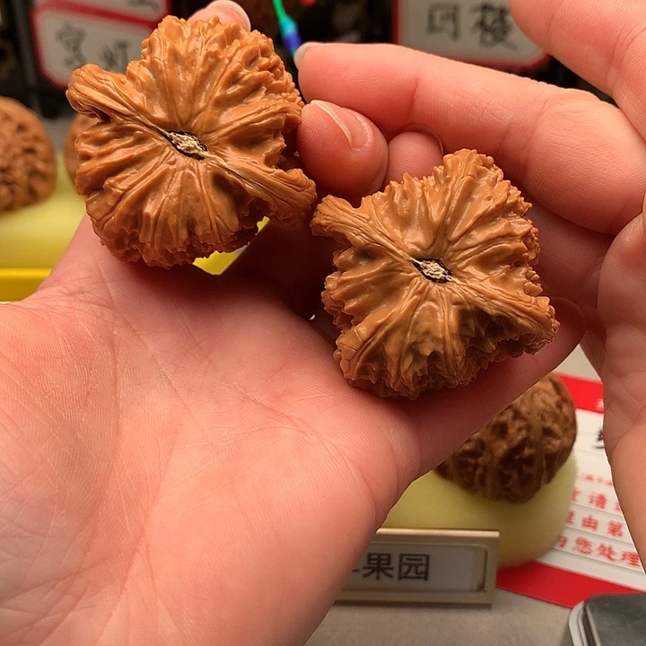 文玩核桃吊坠45➕尺白狮子497号