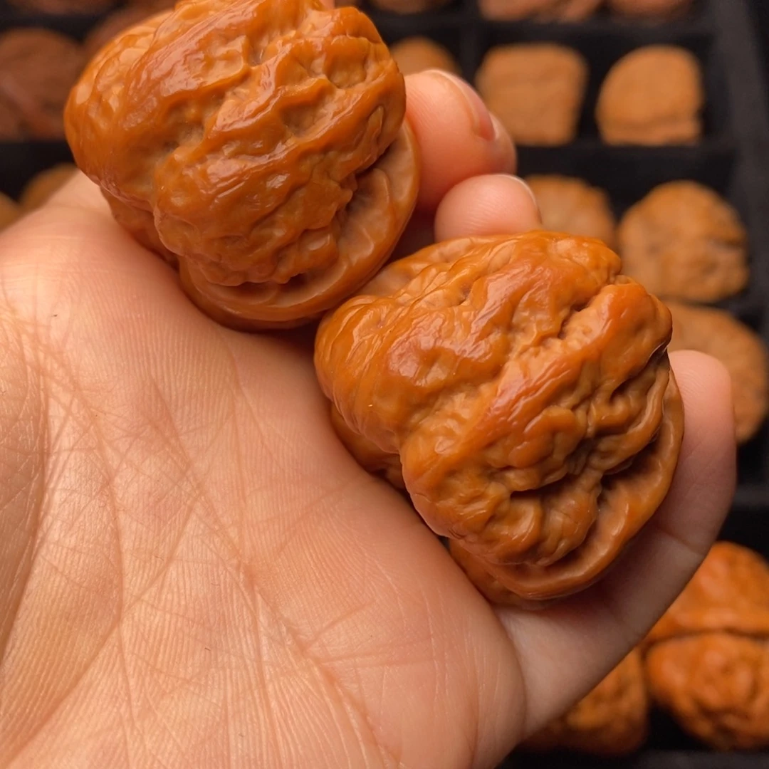 文玩核桃把件秦岭野生核桃