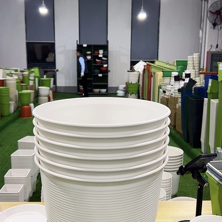 正品矮陶口36高25白色3只无托