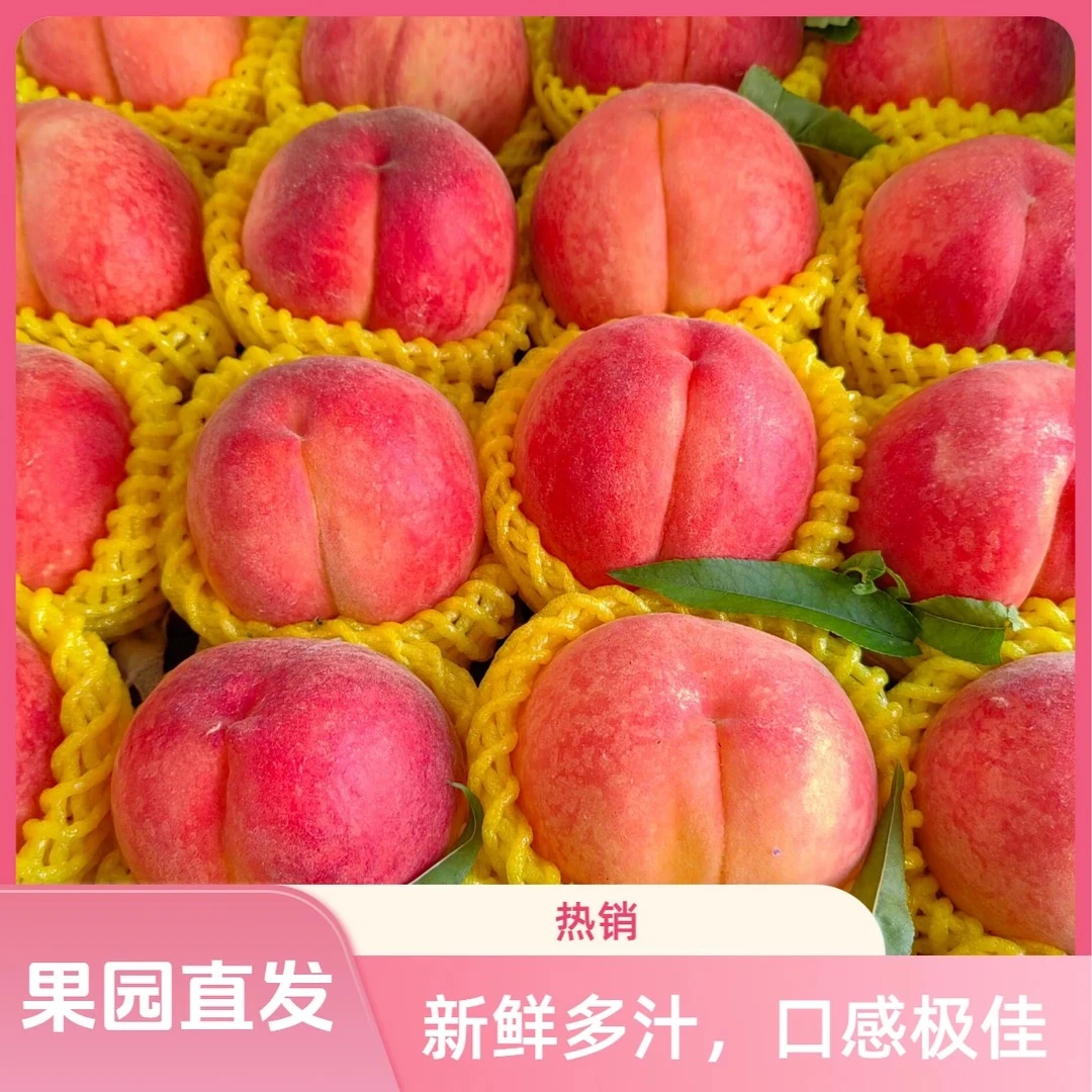 【顺丰包邮】枣阳露天种植突围水蜜桃 脆甜多汁现摘现发果园直发