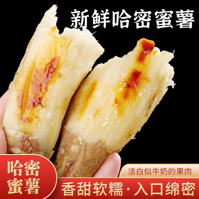 山东新鲜现挖哈密蜜薯冰糖心正宗白心蜜薯粉糯甘甜蜜罐番薯地瓜