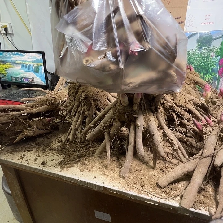 完全开放一兜多色5颗