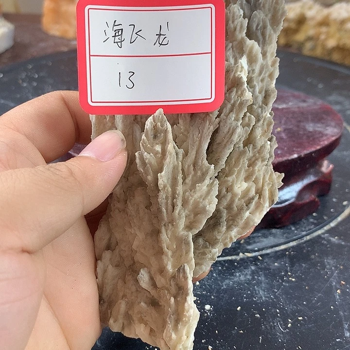 石头海*龙纯天然钟乳石