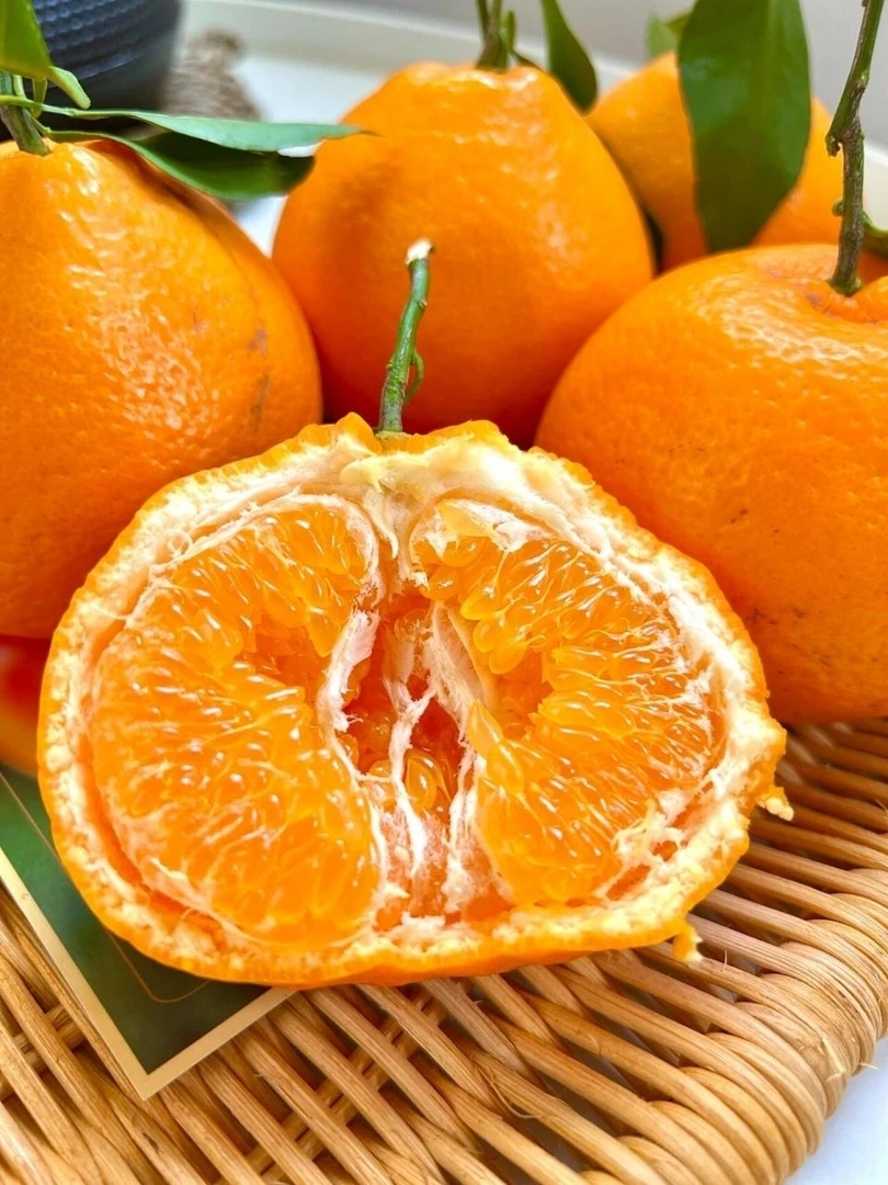 正宗四川特产春见耙耙柑原产地现摘现发