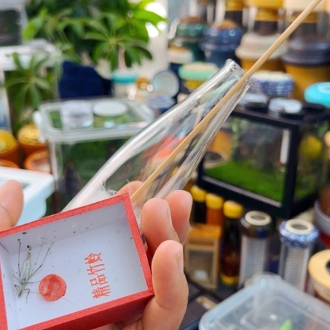 有***为哈哈哈哈哈哈哈哈哈