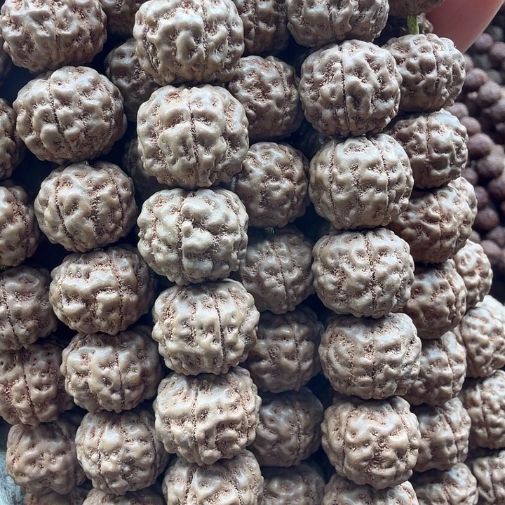 吊坠金刚菩提11.5-12跳跳龙