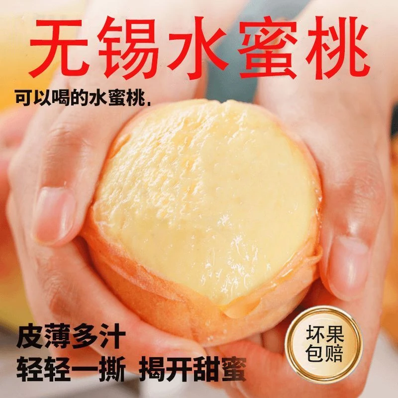 现摘现发无锡湖景水蜜桃当季新鲜水果6-12个香甜爆汁水礼盒装