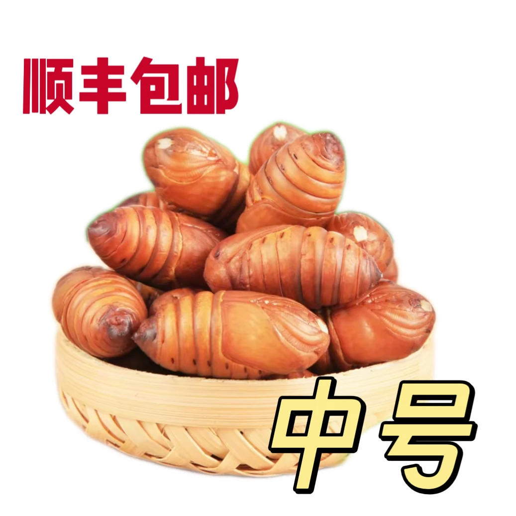 【顺丰包邮】中号黄蚕蛹 50-55只 4-4.5东北活蚕蛹
