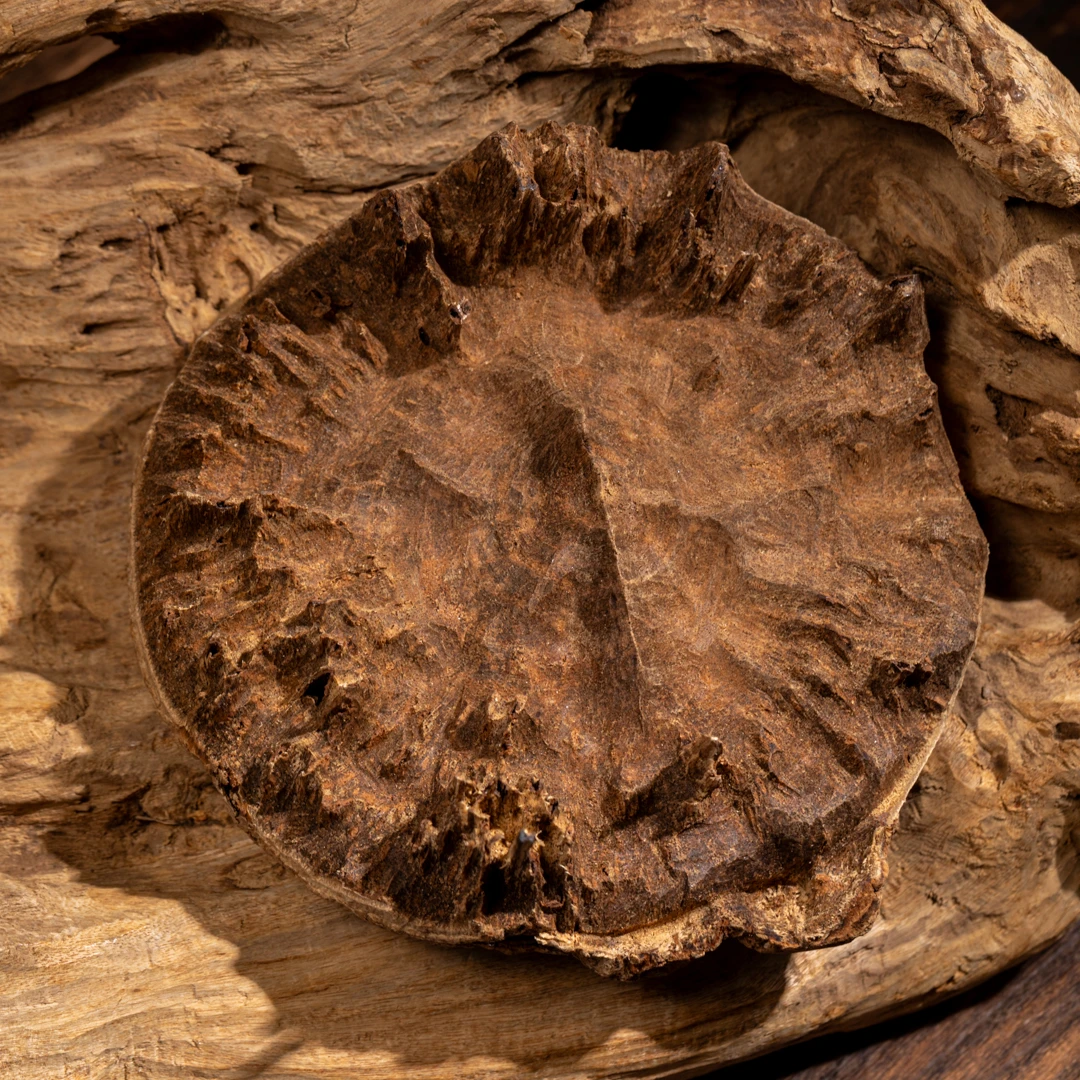 【典藏尖货】海南尖峰岭老顶收藏料70.1g 上品沉香熏香 关注播播间