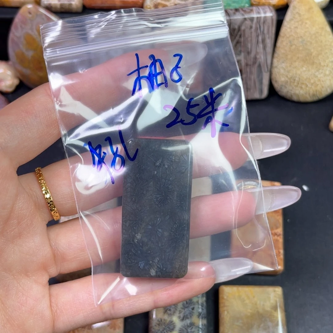 硅化珊瑚(珊瑚玉)未镶嵌吊坠