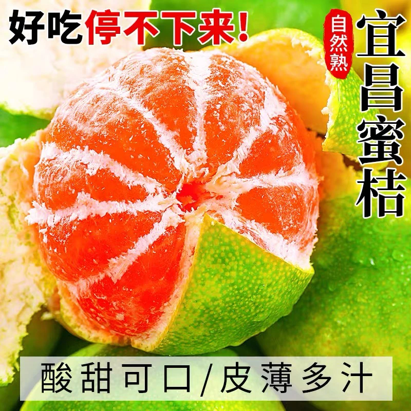 新鲜现摘宜昌青皮蜜橘当季新鲜水果清甜爆汁 酸甜口感