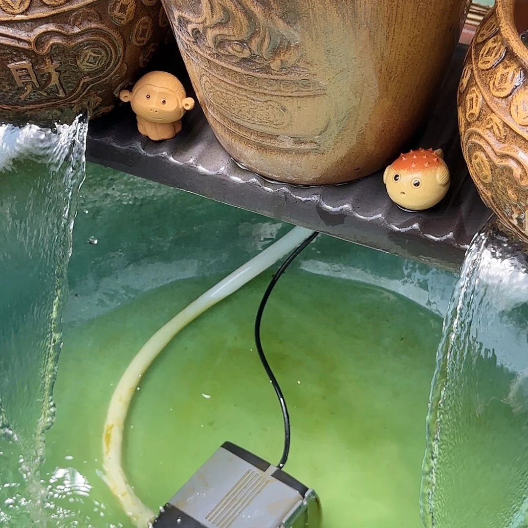 粗陶60w水泵礼包