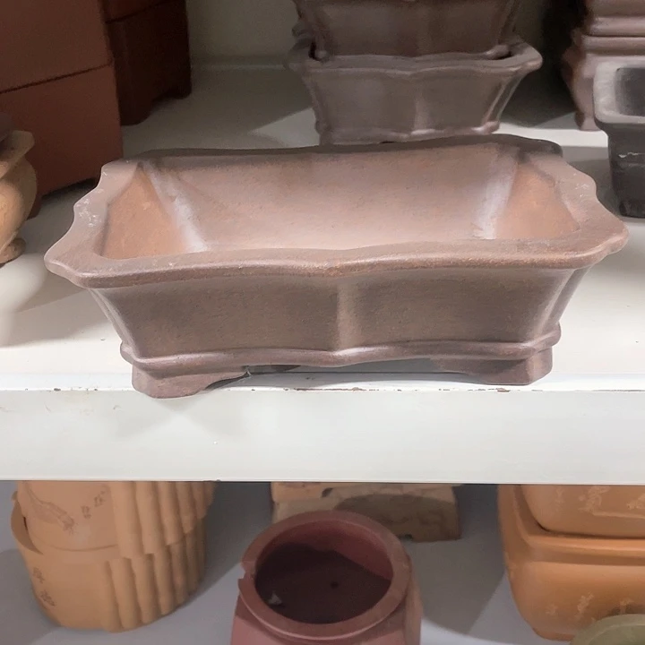紫砂花盆这个月要去医院