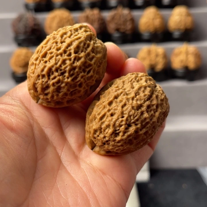 文玩核桃把件21-25