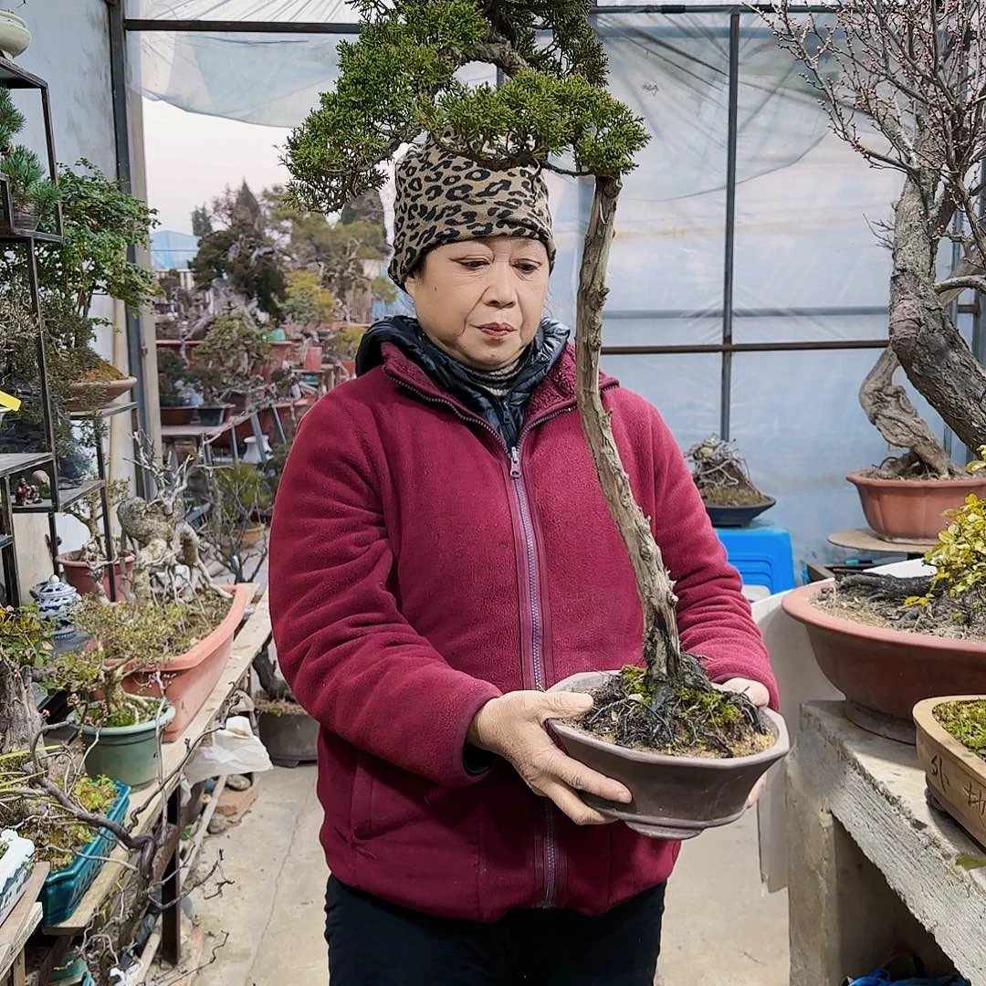 111111111111111正**觉