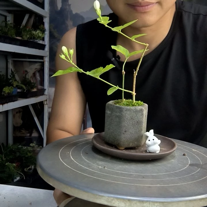 ?中青园艺一物一拍29