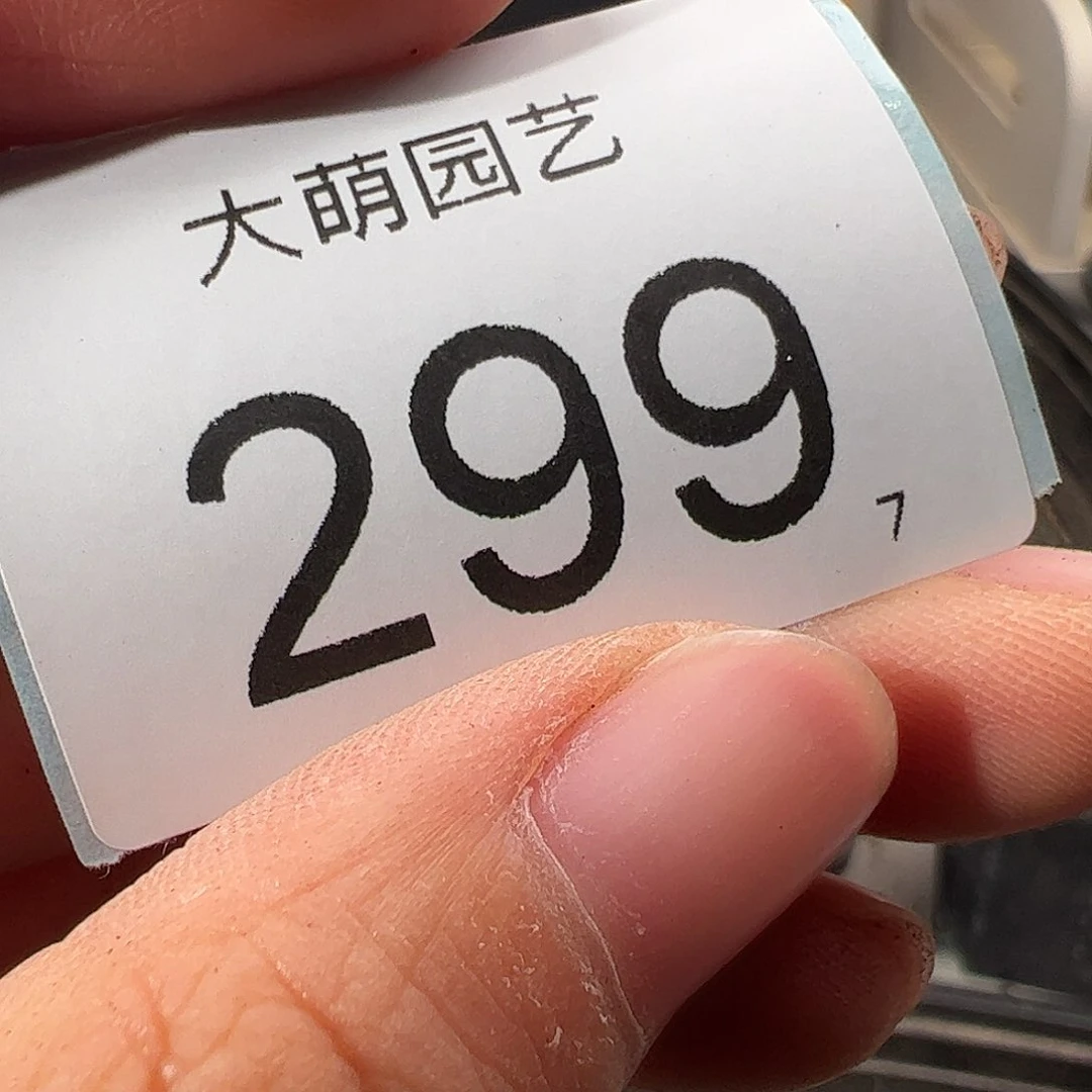 ❤**海0000299 一物一拍