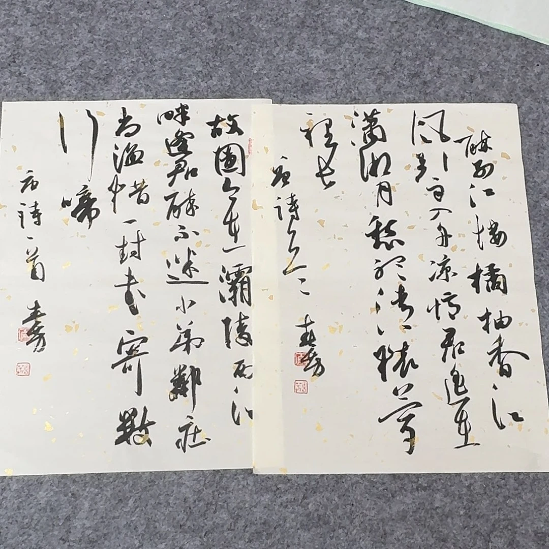 书法国展书家麻春芳45+34×2