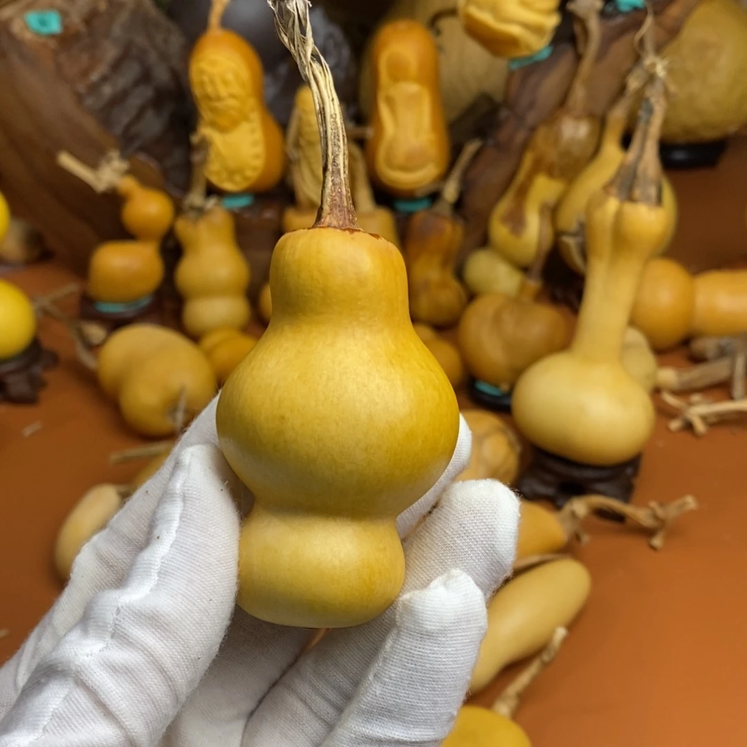 王***珠哭了哭哭哭哭哭哭