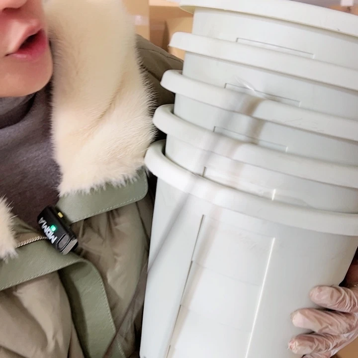 塑料玫瑰240#5个米白色