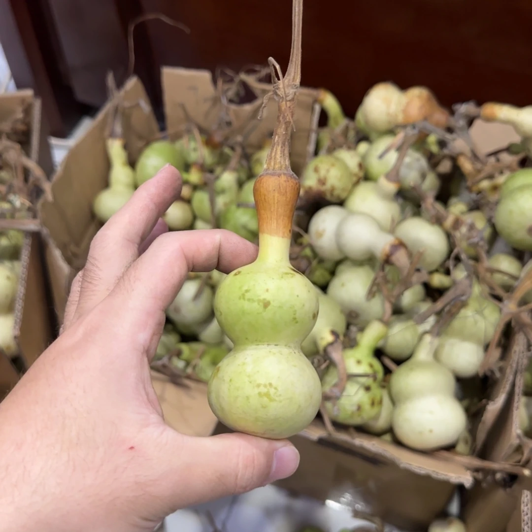 哆***孟青皮不包成 不退不换