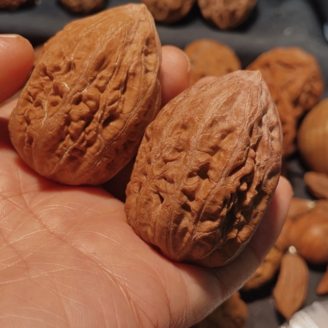 【闪购商品】把件文玩核桃小**镚东北楸子10