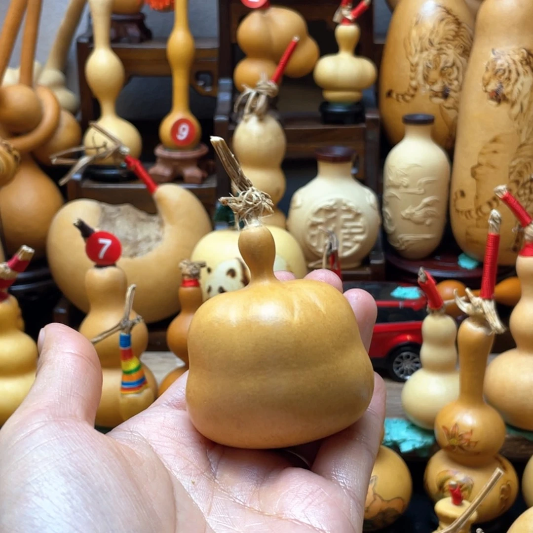 侯*涛大自然的秘密第十一节你要