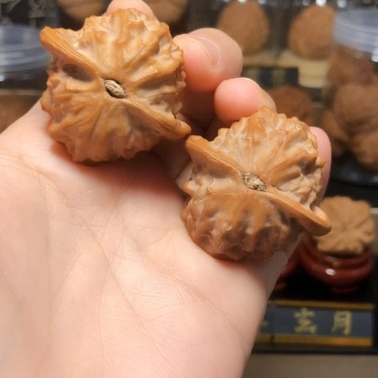 梅****哥精品：瓷娃娃货头