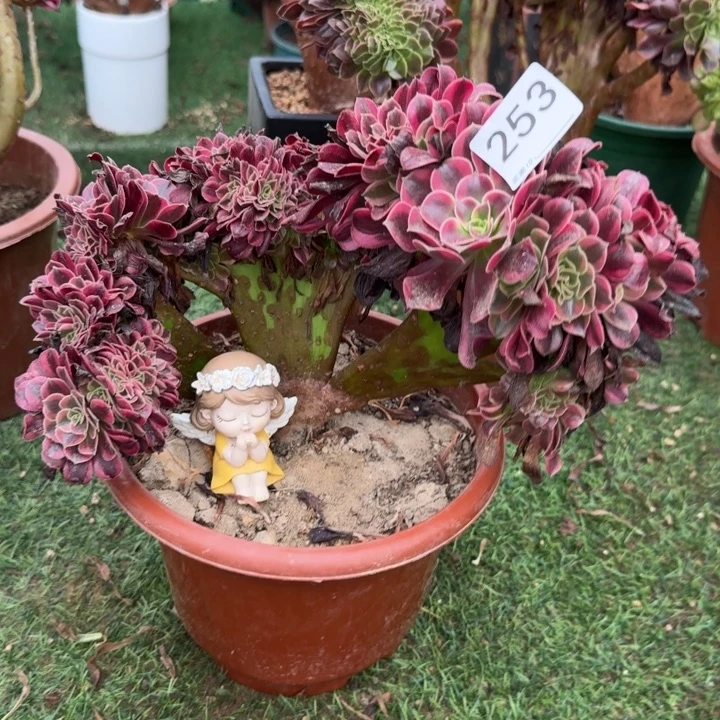 美肤色啊时间缀化253