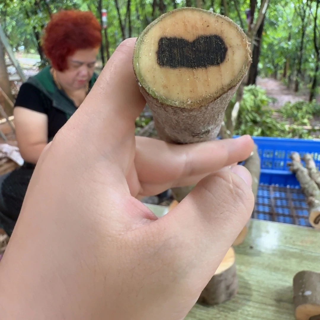 线香奇楠沉香原木