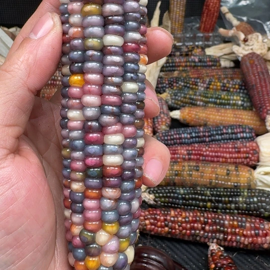 柏香籽/百香籽吊坠A**七