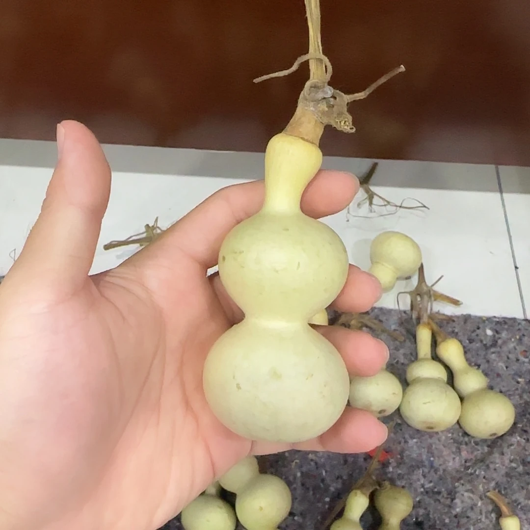 龙***祥葫芦djsjsnssnsnsnsnsn