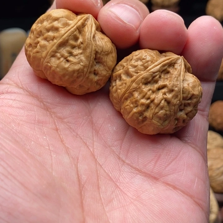 文玩核桃把件12四棱生命异形