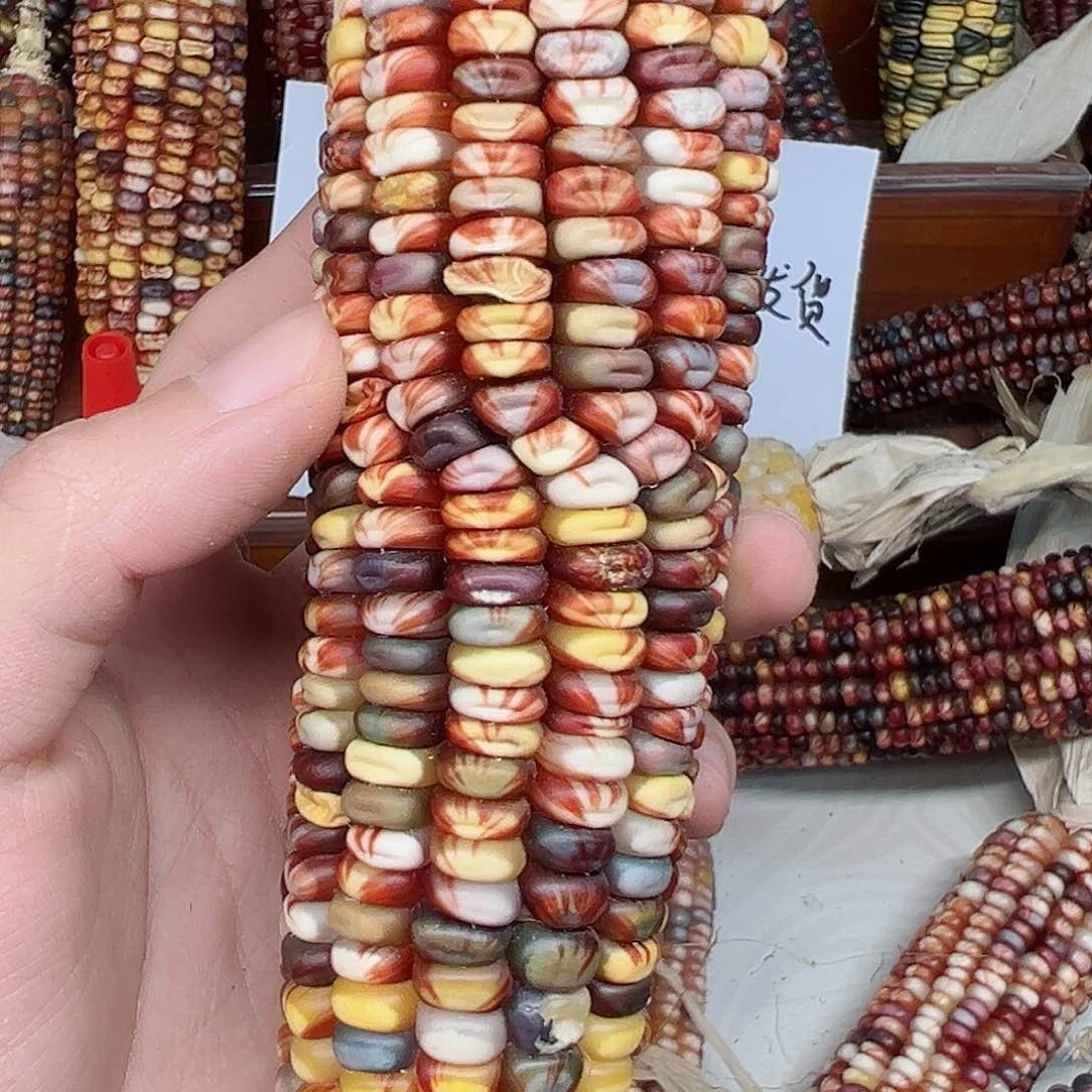 皮*?文玩玉米毛料精品